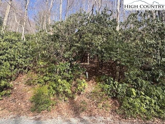 land for sale at 293 Poplar Dr Beech Mountain - $15,900