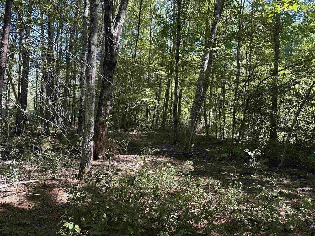 land for sale at 12 Baxter Pl Alton - $84,500