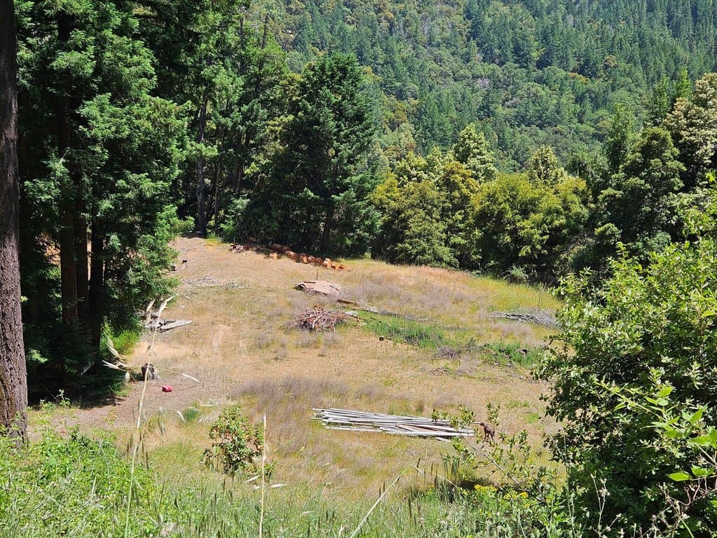 land for sale at 245 Twin Trees Ln Benbow - $125,000