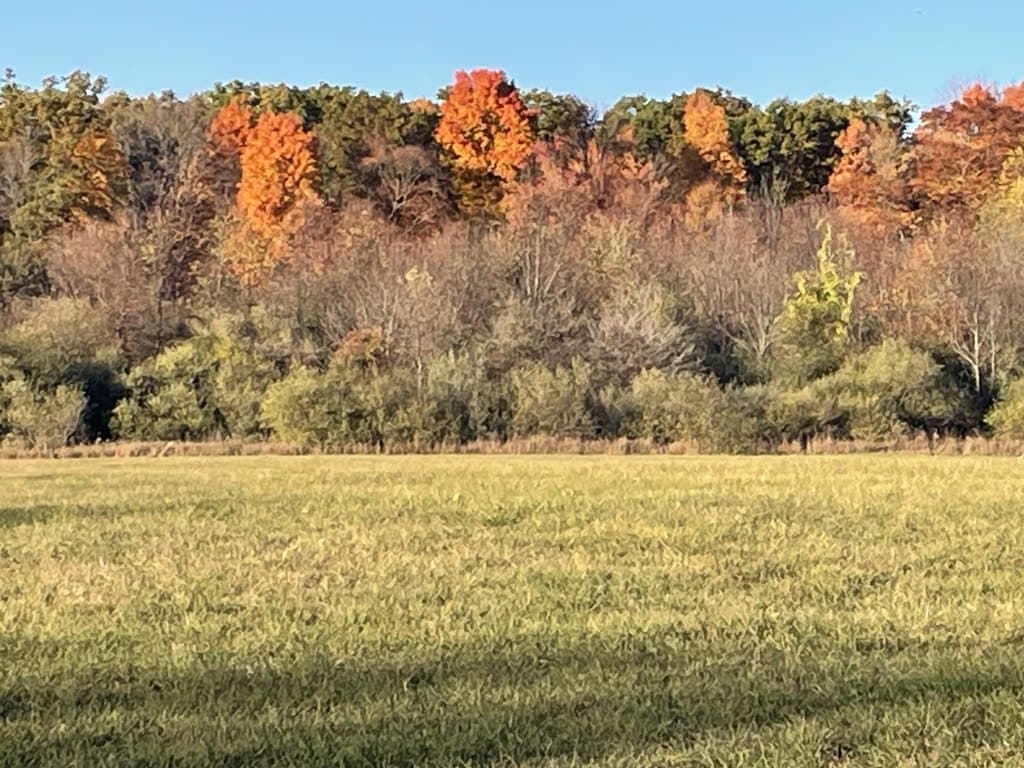 land for sale at 000 Vl N Cottonwood Ave Big Rapids - $468,000