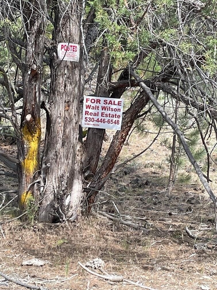 land for sale at 9999 Anderson Ranch Rd Bieber - $108,000