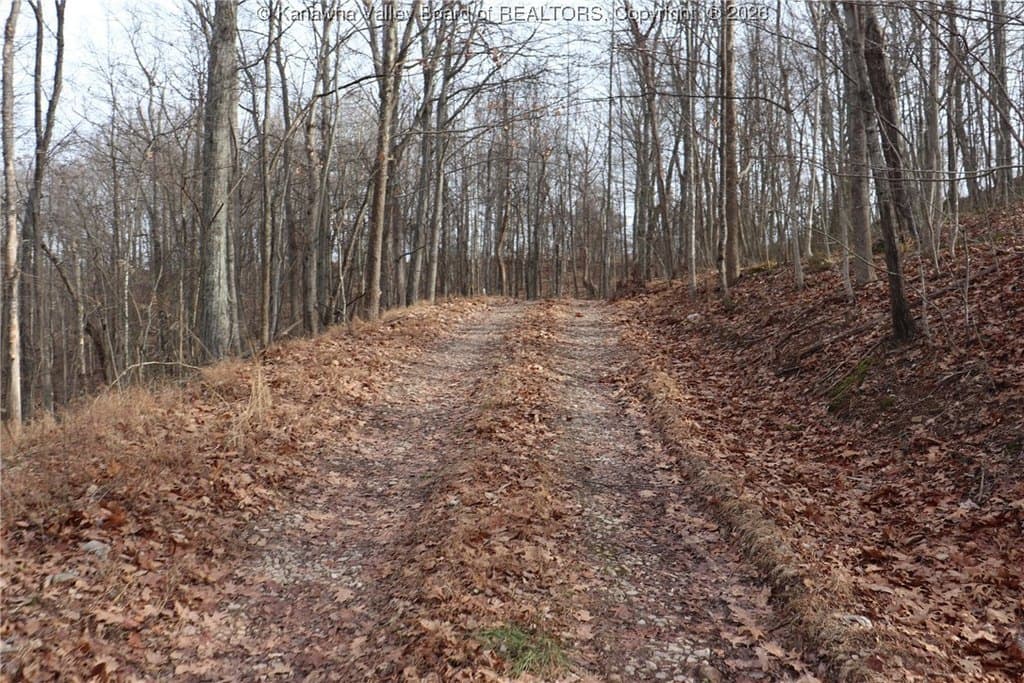 land for sale at Route 12 Rd Alum Creek - $89,900