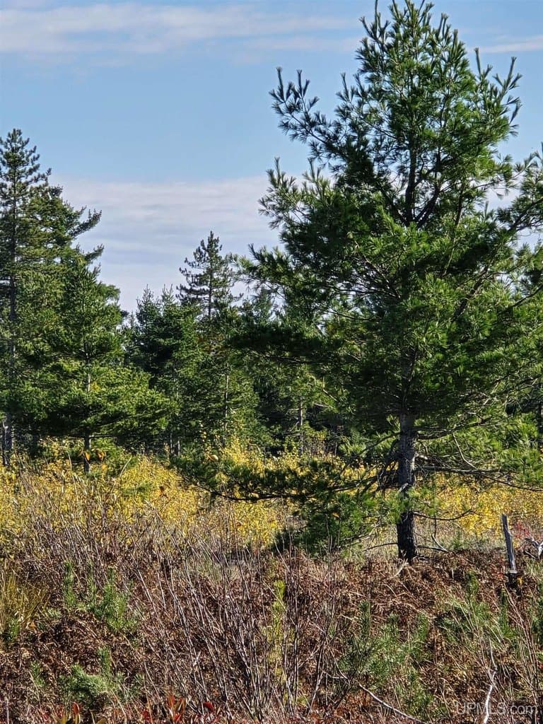 land for sale at 240 Acres County Road Aaa Rd Big Bay - $218,900