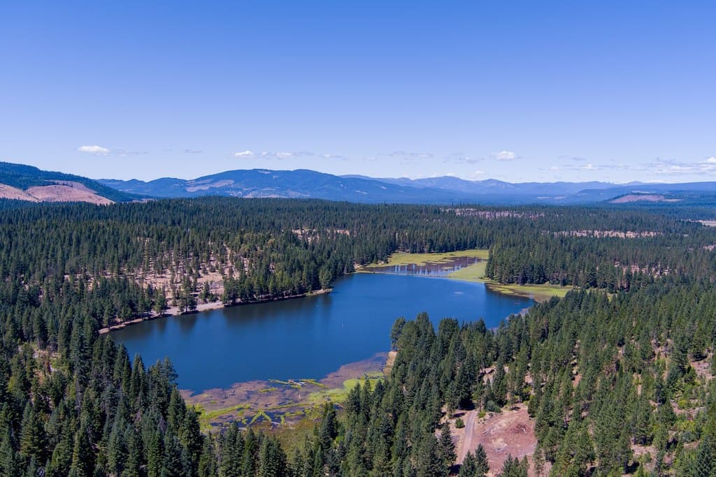 land for sale at 12975 Butte Falls-Prospect Rd Butte Falls - $600,000
