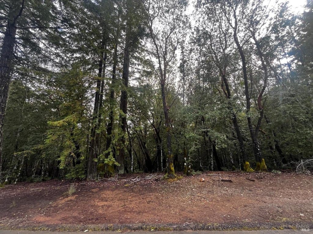 land for sale at 2149 Goose Rd Brooktrails - $5,000