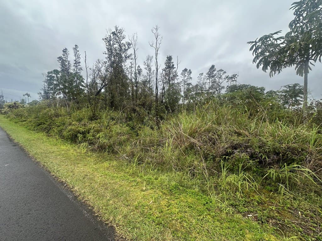 land for sale at Tree Fern Dr Ainaloa - $79,000