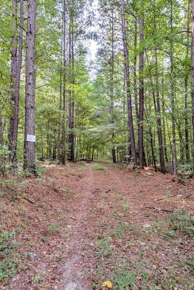 land for sale at 6220 Indiana Ave Beechwood - $25,000