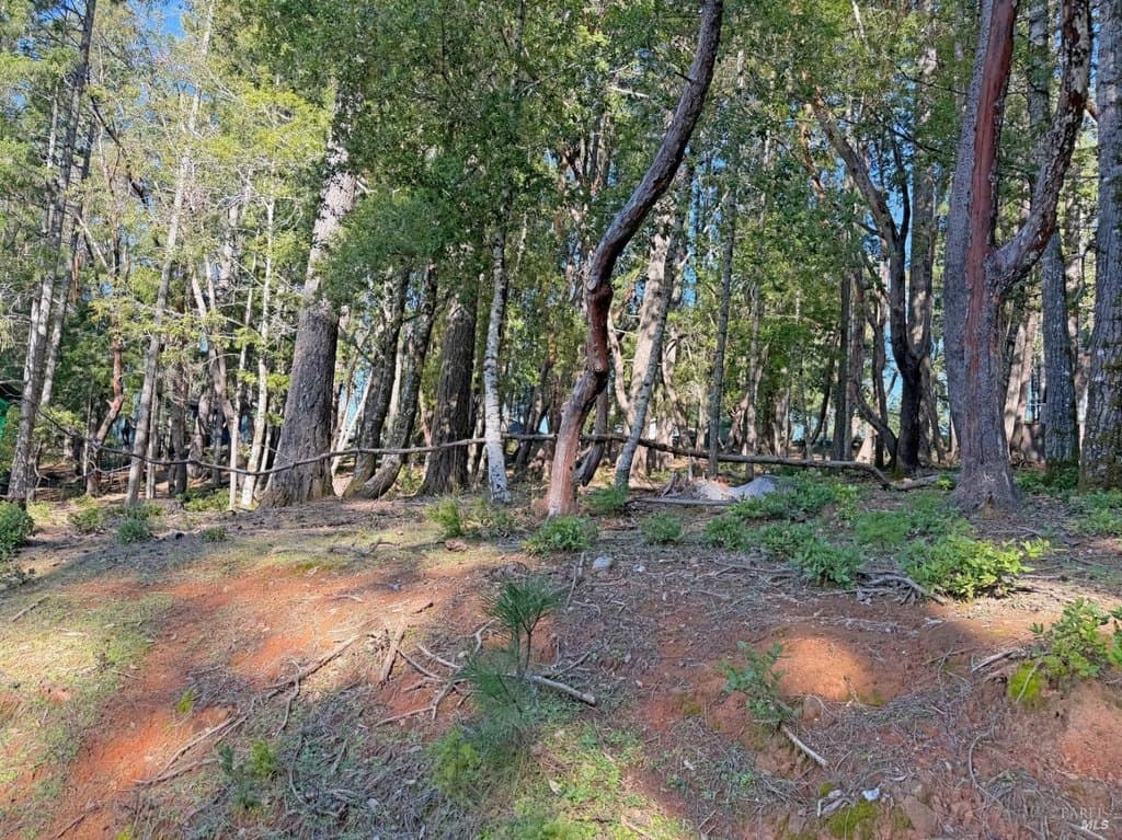 land for sale at 28140 Poppy Dr Brooktrails - $7,900