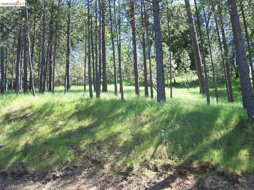 land for sale at 19605 Cottonwood St Pine Mountain Lake 95321 - $7,500