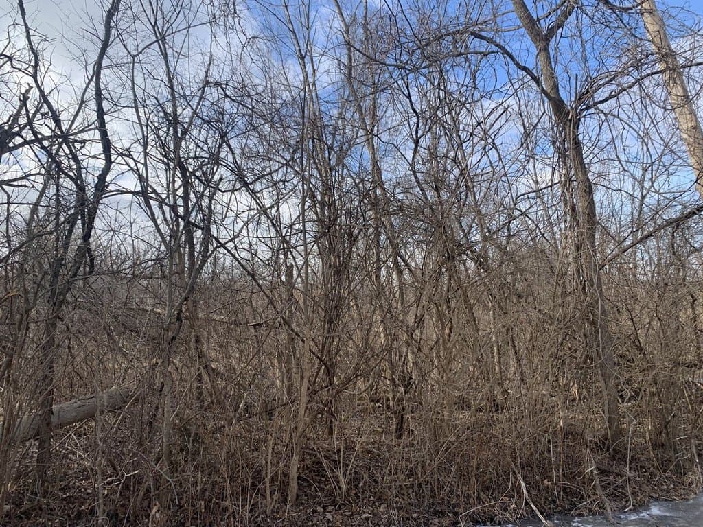 land for sale at Riverside Dr Burtons Bridge - $16,000