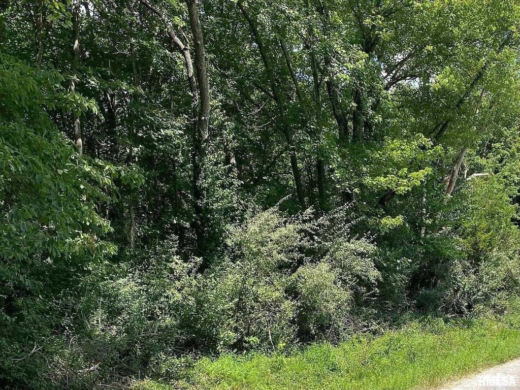 land for sale at 4th St Bluford - $25,750
