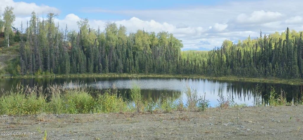 land for sale at 3994 S Arrowhead St Big Lake - $157,000