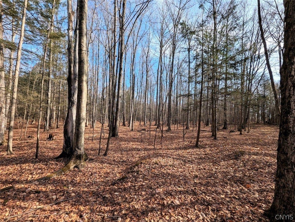 land for sale at South Rd Addison - $29,900