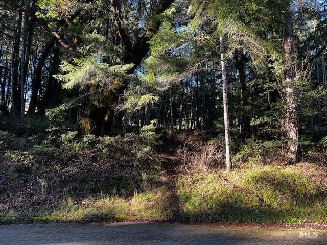 land for sale at 24419 Cypress Dr Brooktrails - $7,500