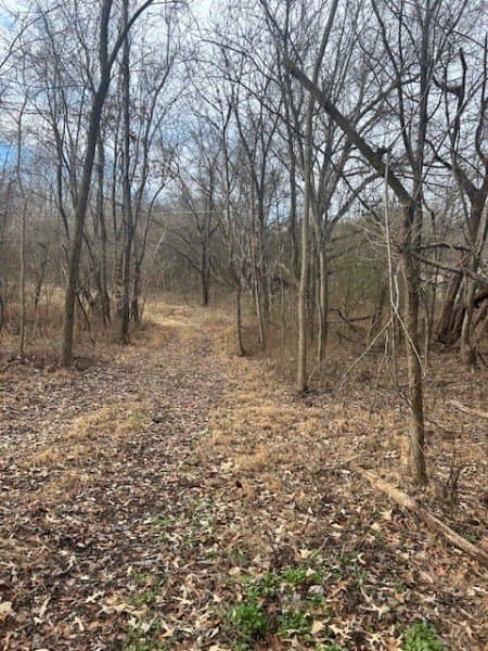 land for sale at Mayo Rd Adams - $299,900