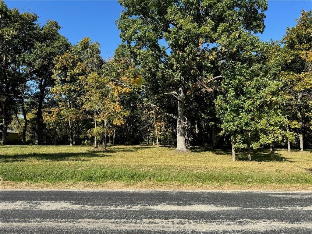 land for sale at 9262 Caleb Rd Argenta - $82,500