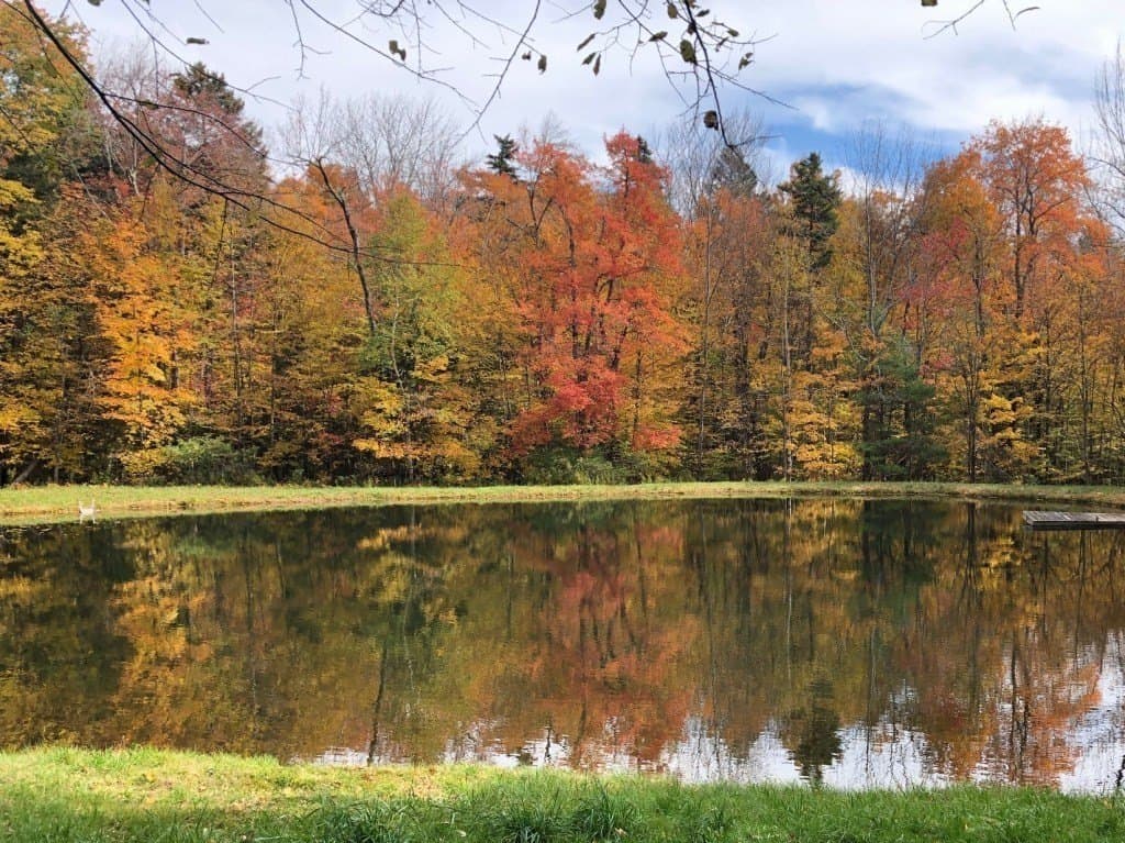 land for sale at Gentian Hollow Rd Becket - $43,000