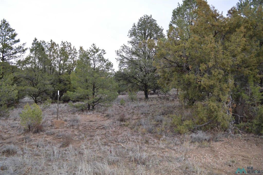 land for sale at Gods Acre Rd Lot 5 Candy Kitchen - $11,999