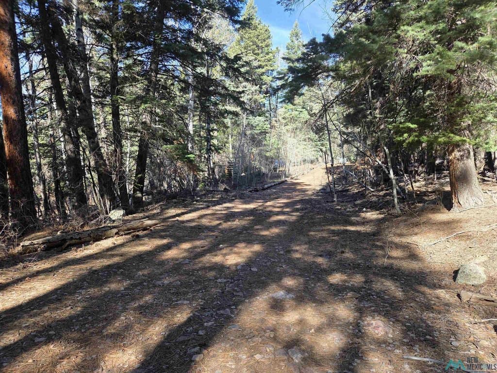 land for sale at 29 and 30 Brazos Lodge Estates Dr Chama - $50,000