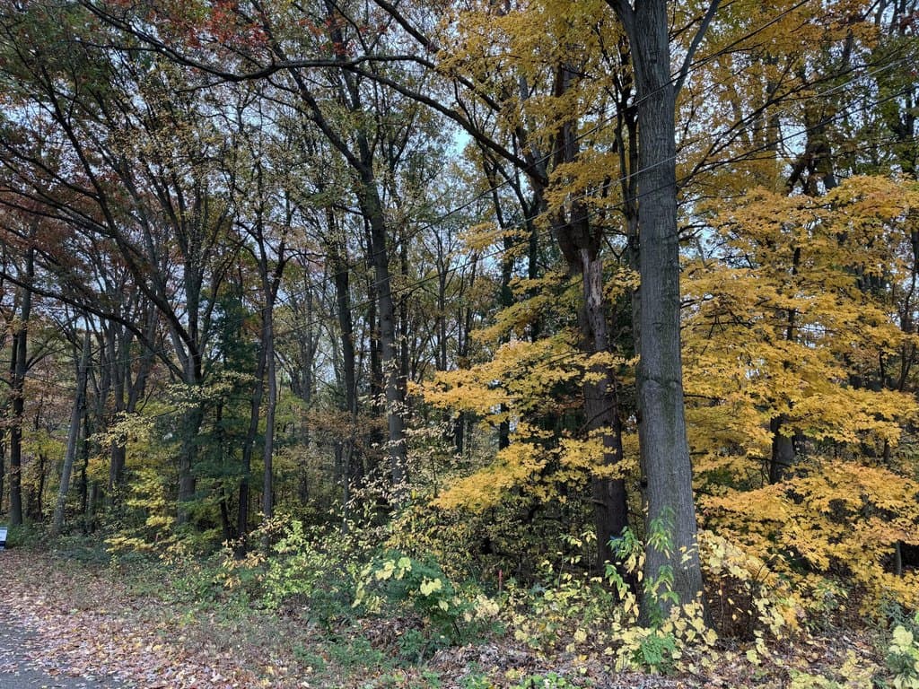 land for sale at 2405 Burke Ave Beechwood - $45,000