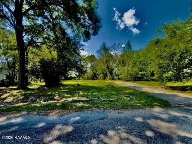 land for sale at 812 S Lamar 1/2 St Lot 80 Abbeville - $10,000