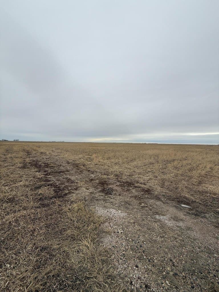 land for sale at 24939 421st Ave Alexandria - $100,000