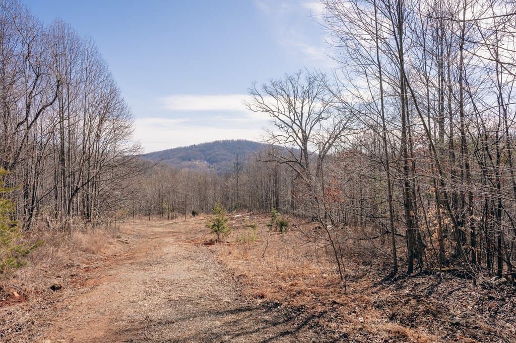 land for sale at Mountain View Church Rd Blue Ridge - $160,000