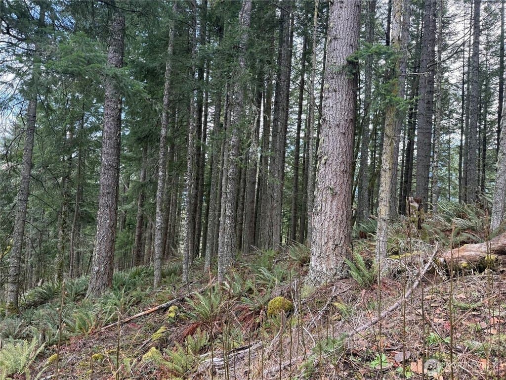 land for sale at 53007 128th Ave E Alder - $319,000