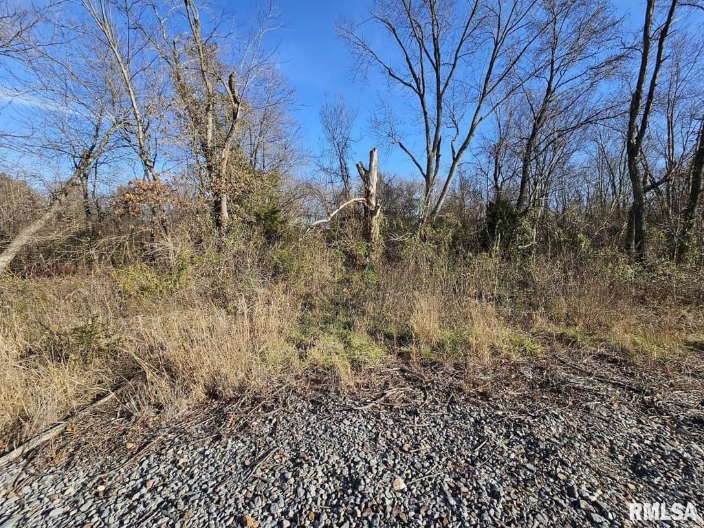 land for sale at N IL 37 Hwy Bonnie - $45,000