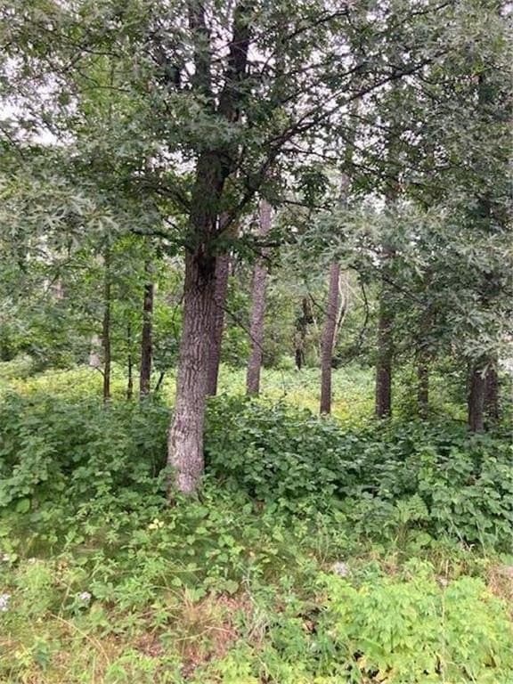 land for sale at Owl Cir Lots 39 & 40 Breezy Point 56472 - $53,800