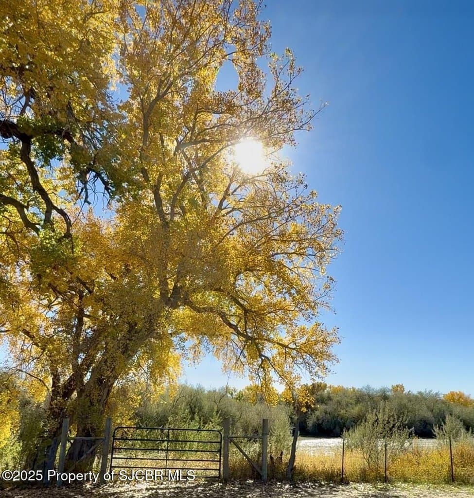 land for sale at Road # 4599 Blanco - $1,212,500