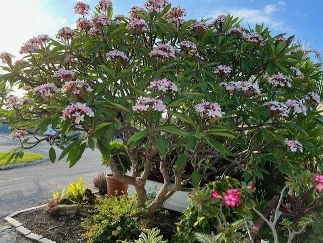 1 bedroom mobile home for sale at 55 Boca Chica Rd Lot 93 Big Coppitt Key - $295,000