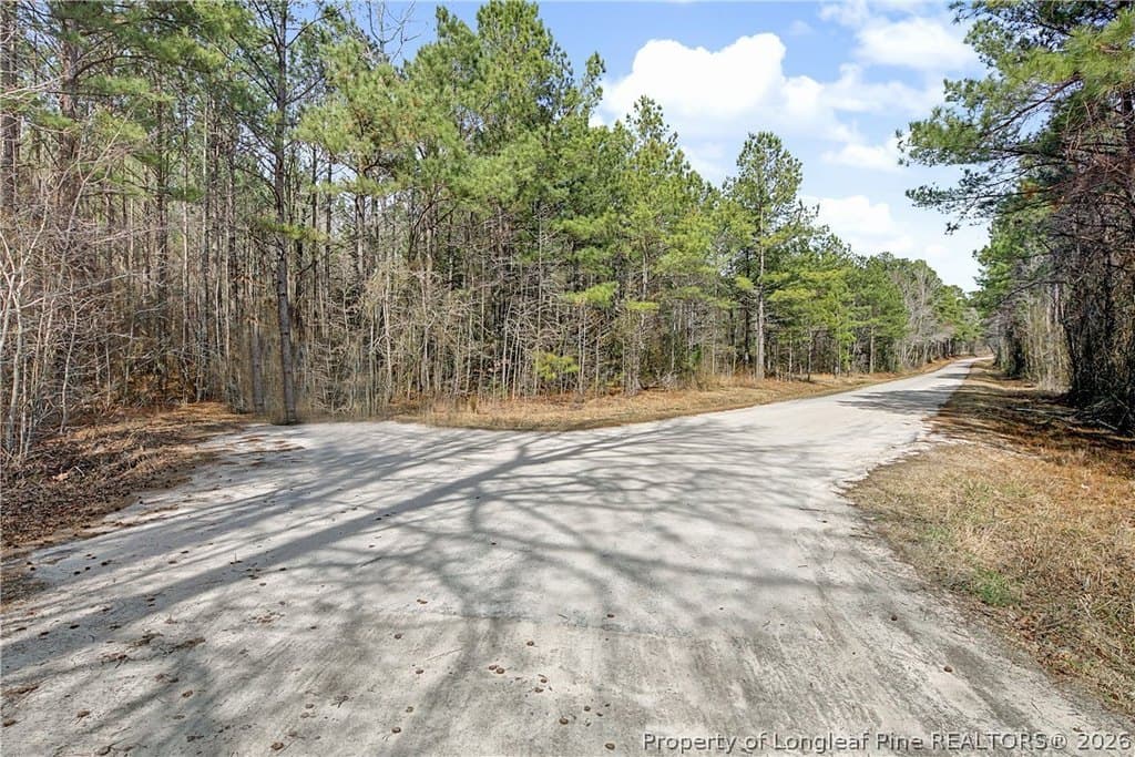 land for sale at 632 Creeksville Church Rd Spring Lake 28390 - $282,000