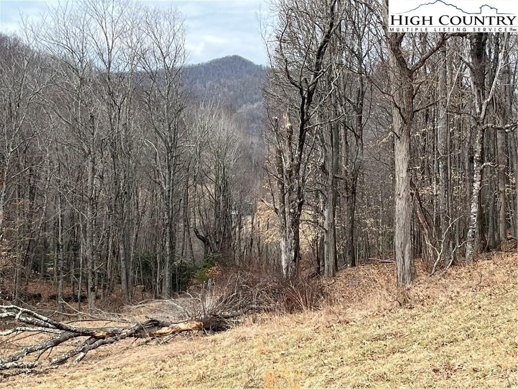 land for sale at Poplar Forest Dr Lot 38 Boone - $235,000