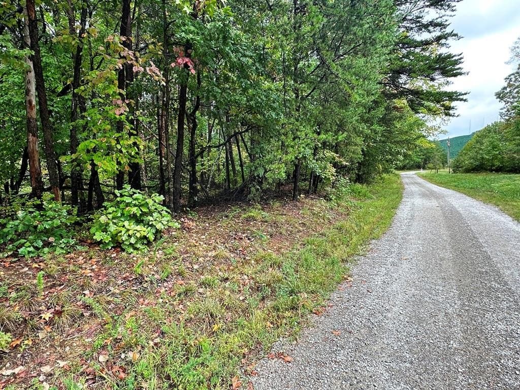 land for sale at Junior Oaks Rd Blairs - $39,900