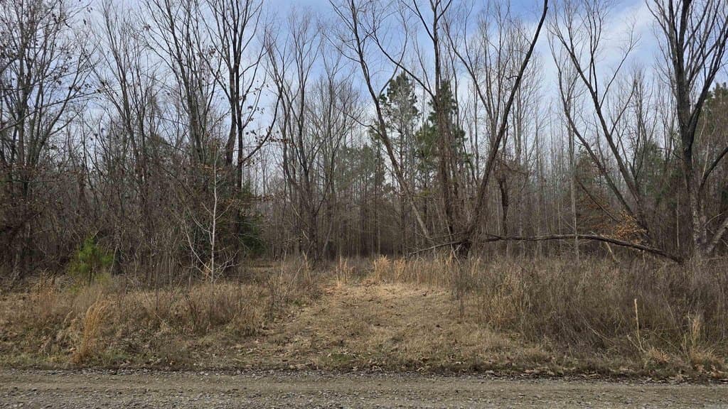 land for sale at Williams Rd Bald Knob - $94,000
