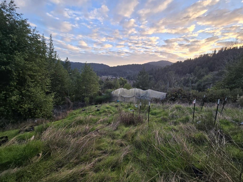 land for sale at 250 and 314 Oakcrest Dr Benbow - $99,950