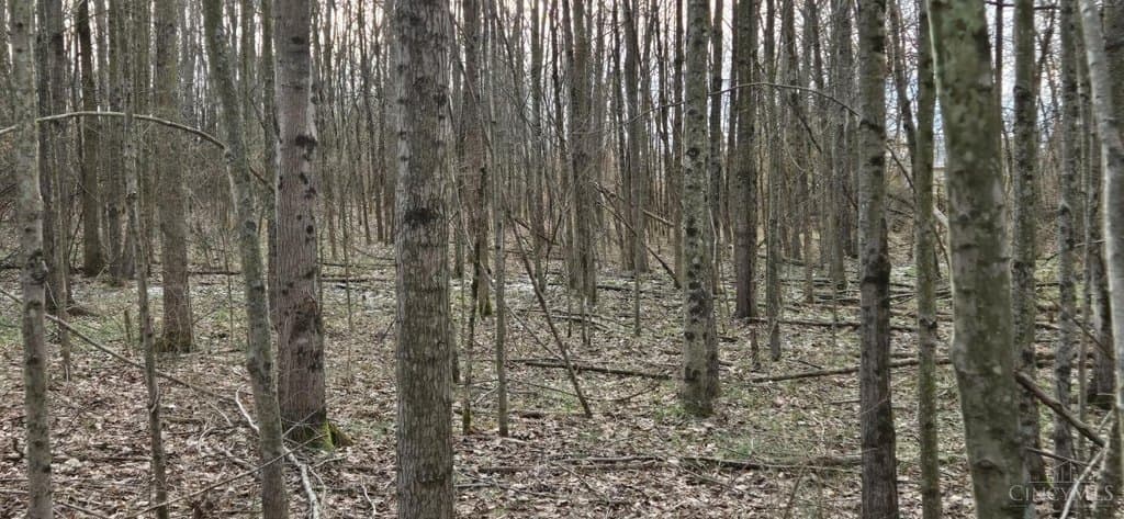 land for sale at 508 Cherry St Blanchester - $74,900