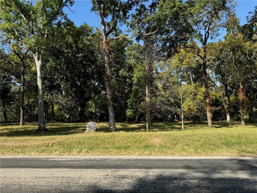 land for sale at 9264 Caleb Rd Argenta - $75,000