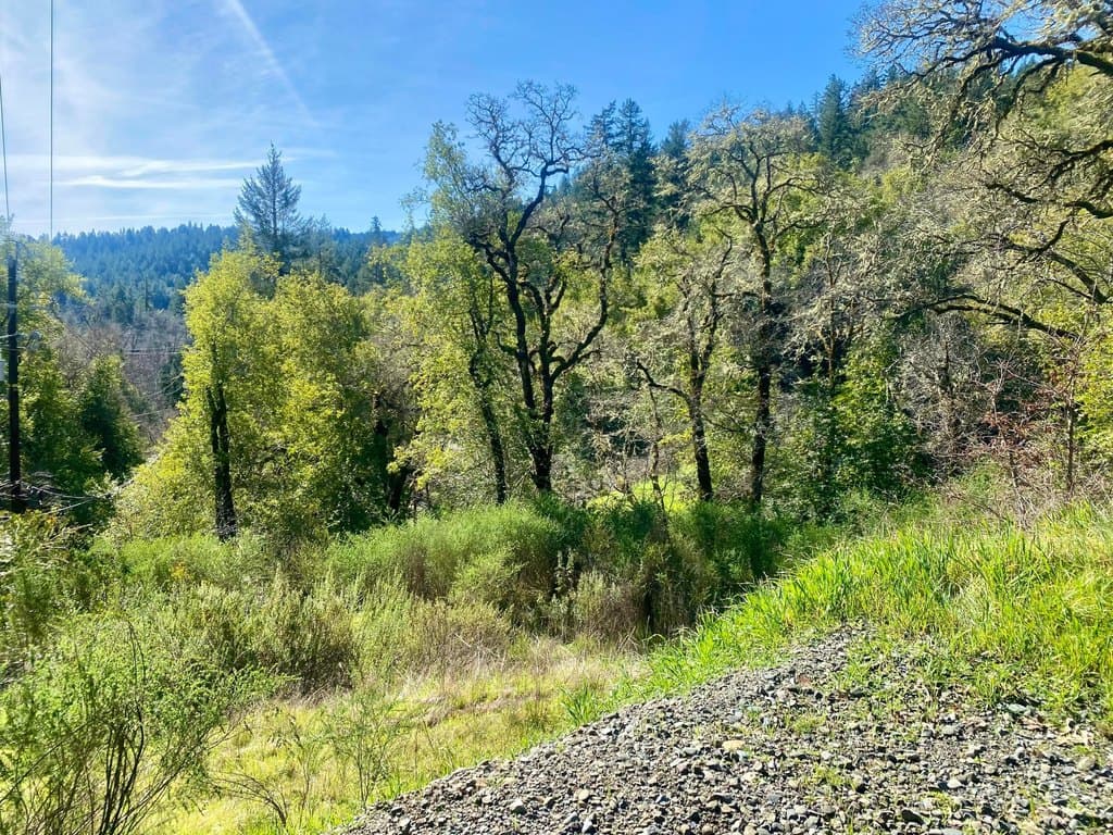land for sale at 90 Oakcrest Ct Benbow - $25,000