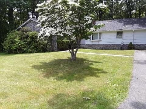 4 bedroom house for sale at 140 Bellflower St Bradley - $279,000