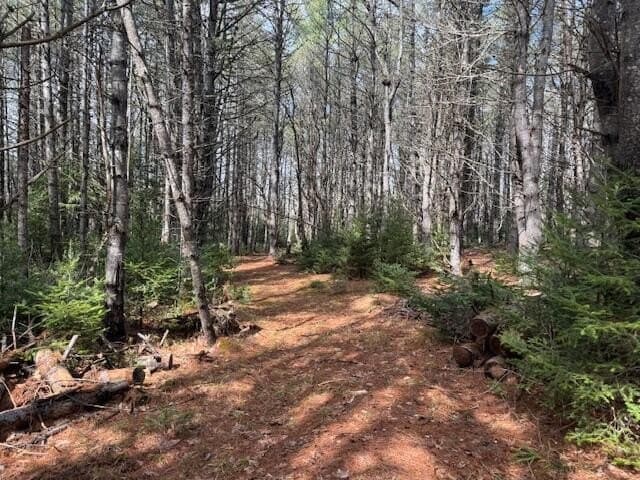 land for sale at Map 1 L2 Union St Bangor 04401 - $298,500