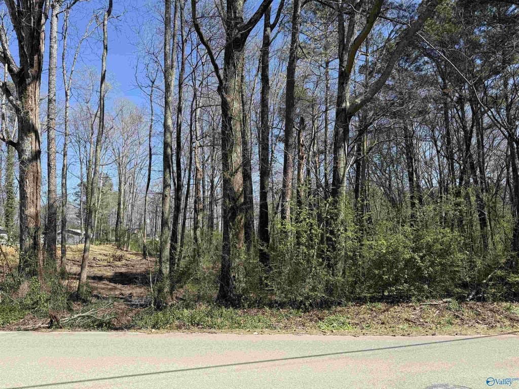 land for sale at 10th St SW Arab - $19,900