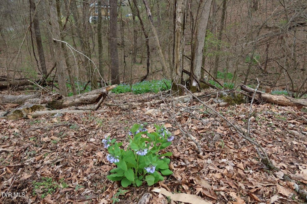 land for sale at Lakeside Dr Johnson City 37615 - $46,500