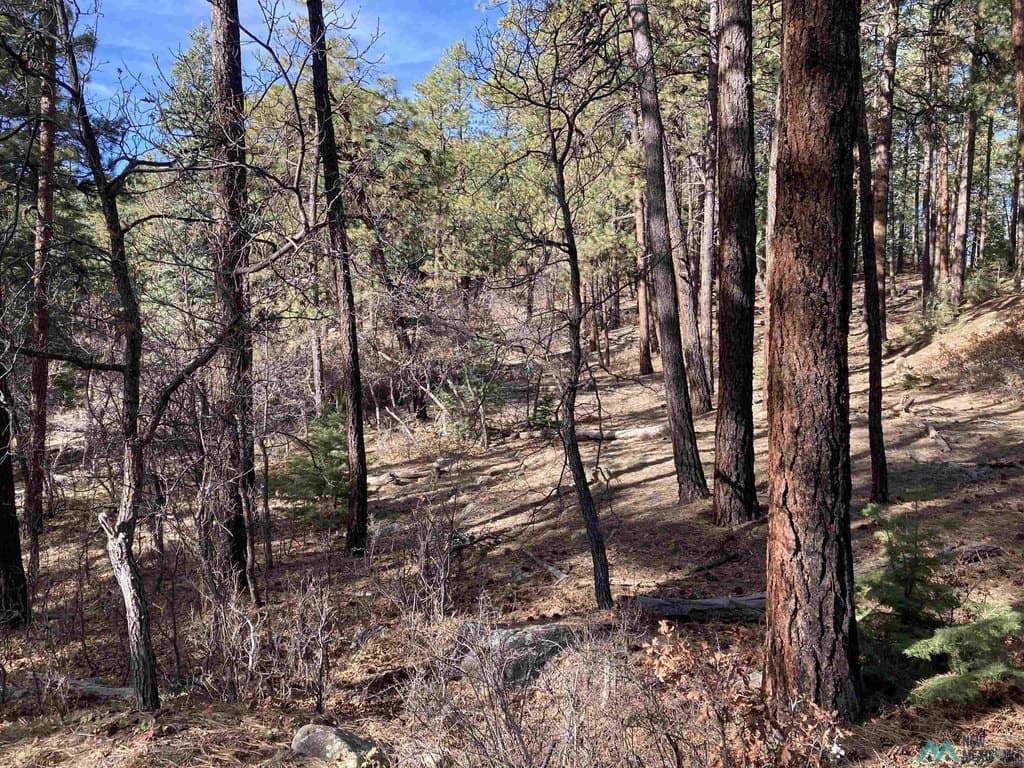 land for sale at Serenity Dr Chama - $15,000