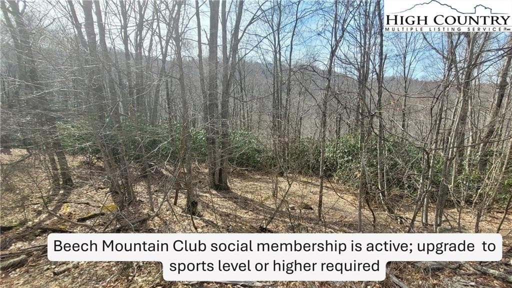 land for sale at 327 Locust Ridge Rd Beech Mountain - $44,900