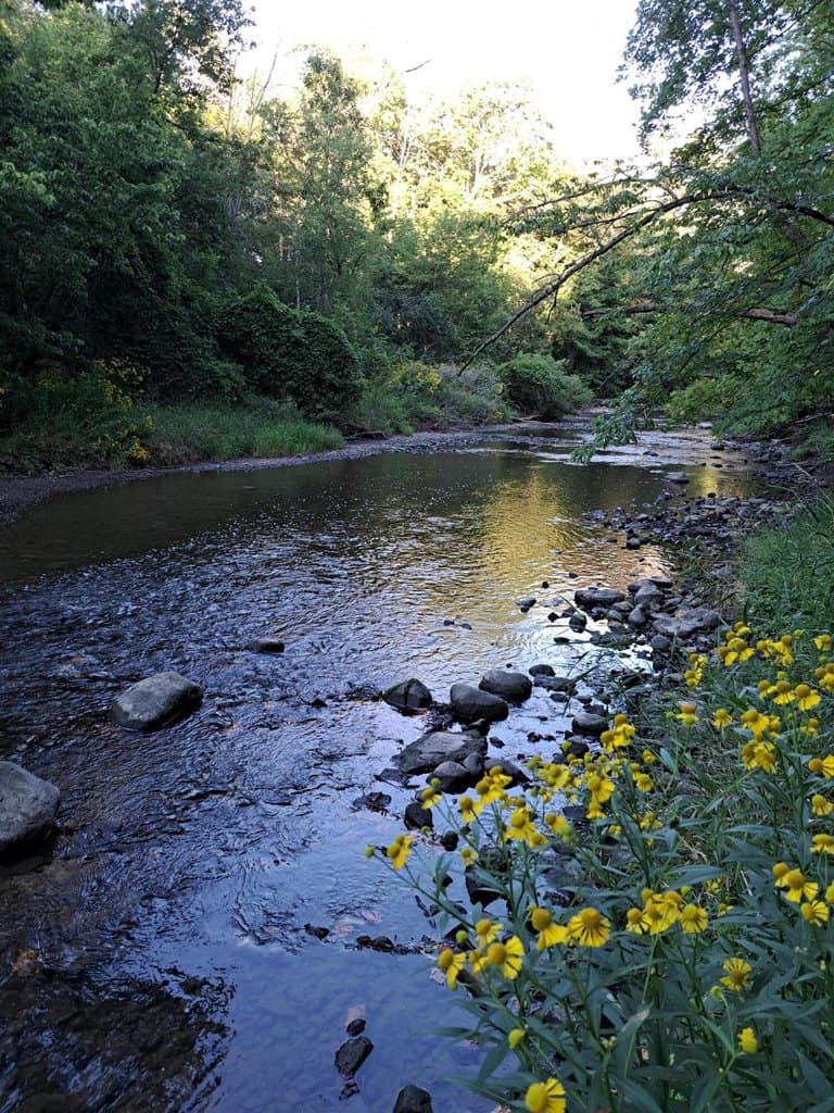 land for sale at Lucille Ln Lot 7-8 Butler - $174,000