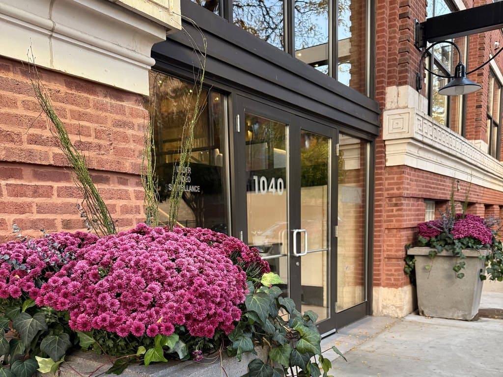 2 bedroom condo for sale at 1040 W Adams St Unit 346 Chicago - $549,000