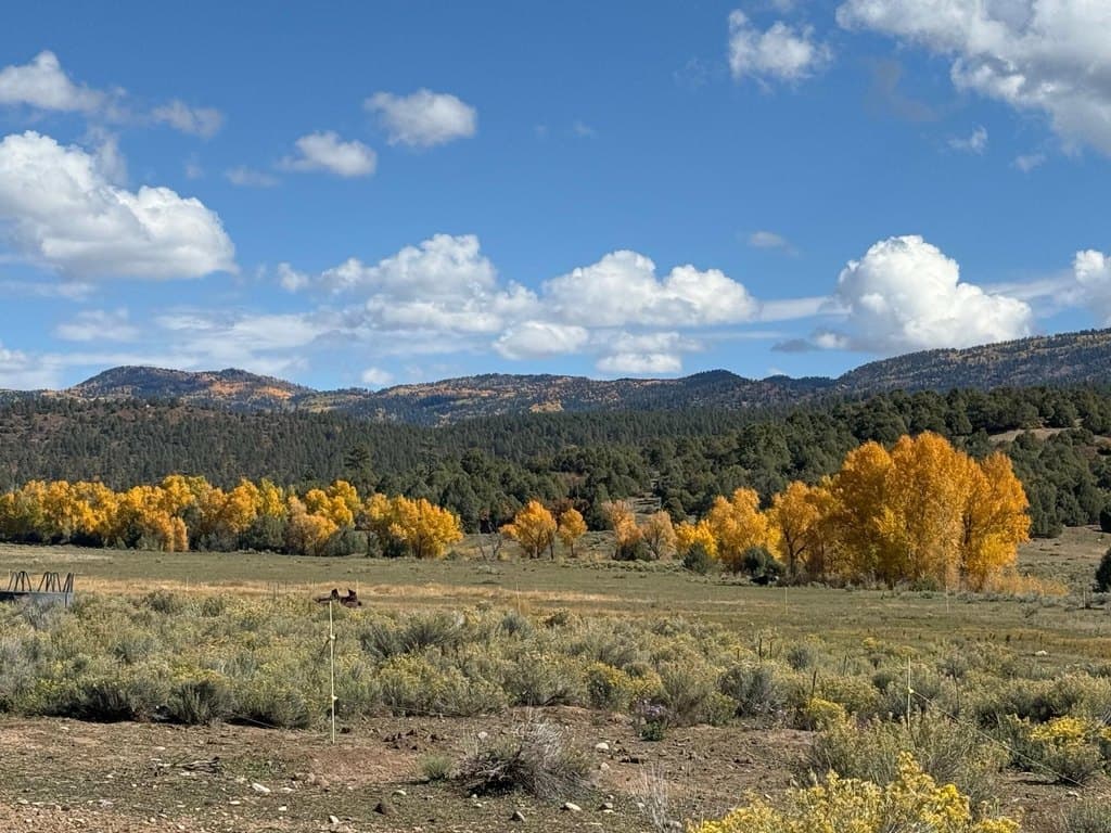 land for sale at 16853 # Us84 # US84 Chama - $1,595,000