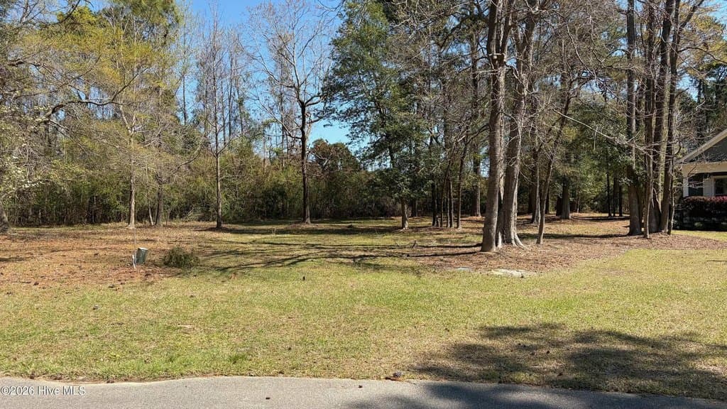 land for sale at 429 Burgee Ct Lot 99 Castle Hayne - $145,000